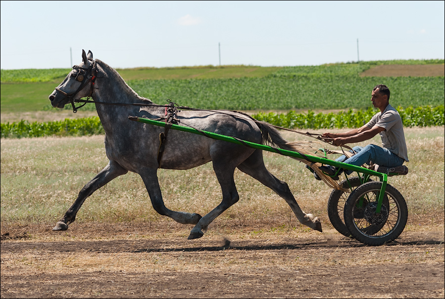 Tvardita 20150721170