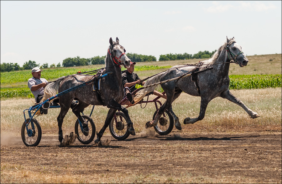 Tvardita 20150721177