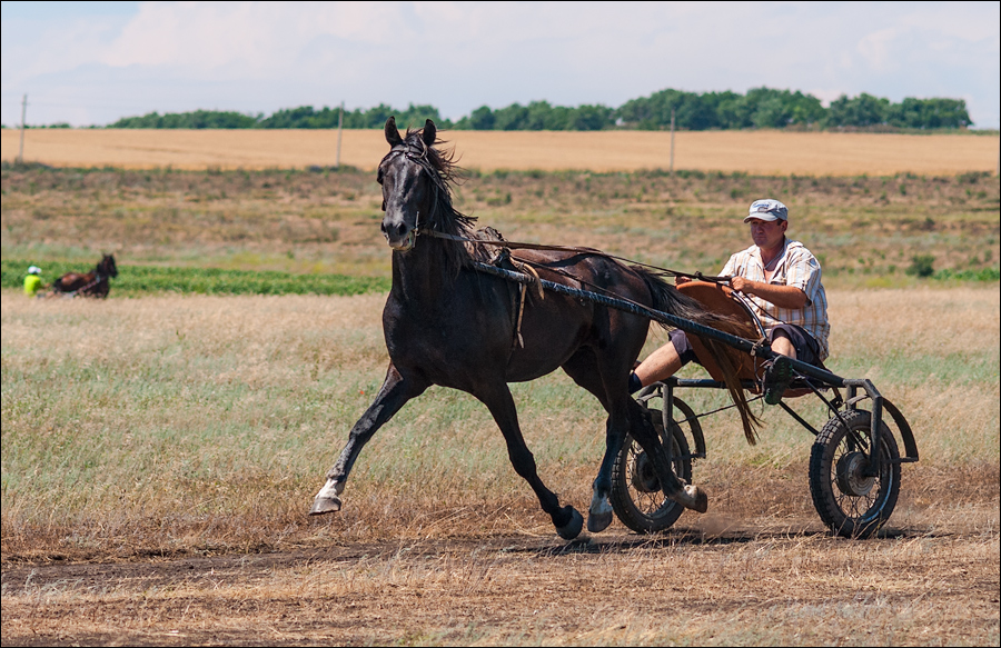 Tvardita 20150721181