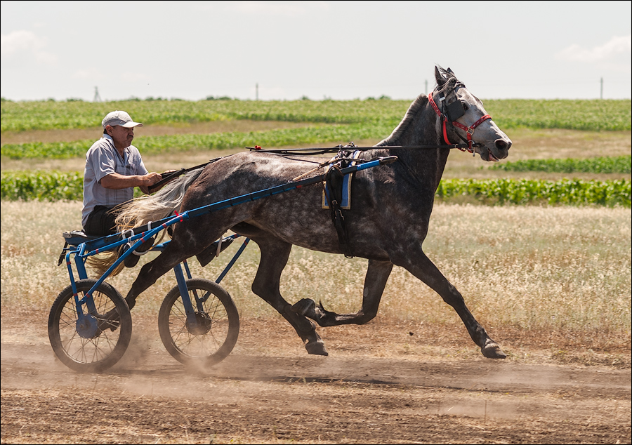 Tvardita 20150721182