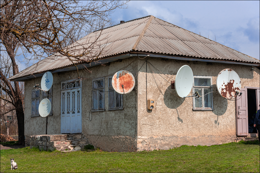 Brinzeni Gordinesti Fetesti 20210418 100