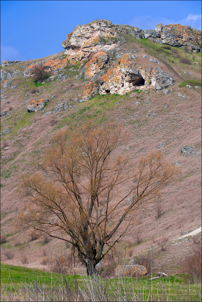 Brinzeni Gordinesti Fetesti 20210418 103