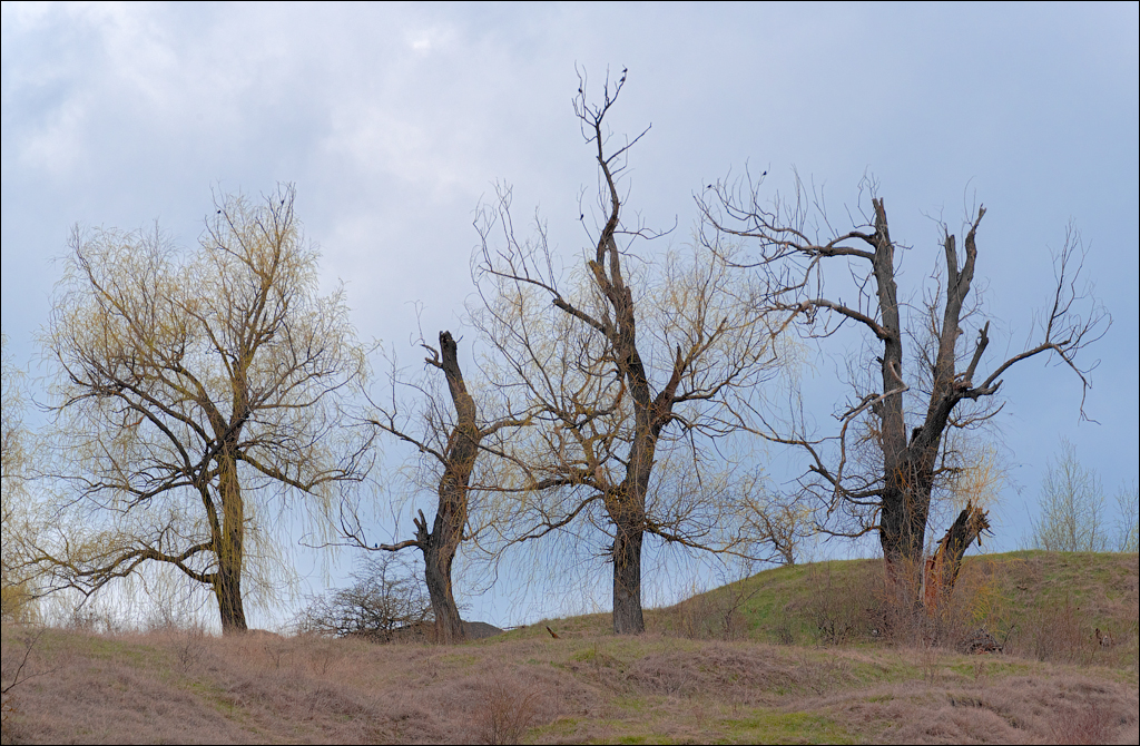 Brinzeni Gordinesti Fetesti 20210418 107