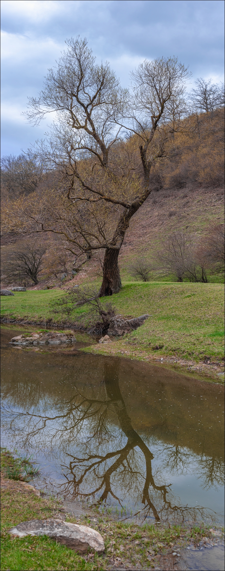 Brinzeni Gordinesti Fetesti 20210418 108