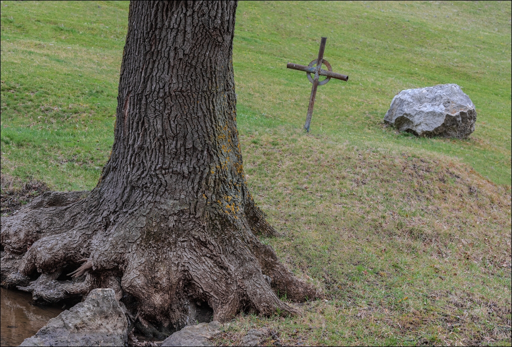 Brinzeni Gordinesti Fetesti 20210418 119