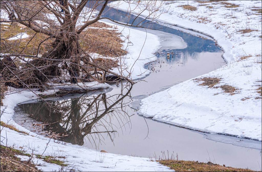 Soldanesti Ciorna 20210221 119