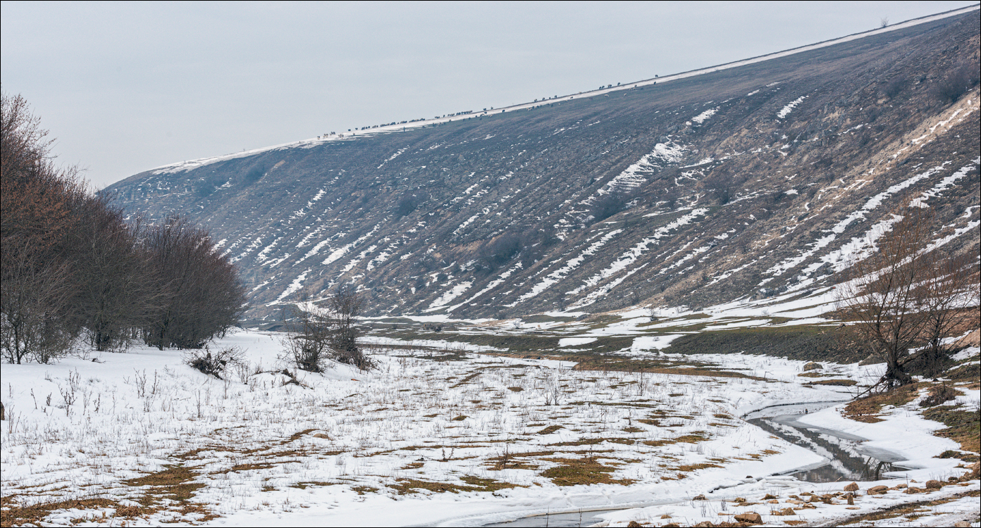 Soldanesti Ciorna 20210221 126