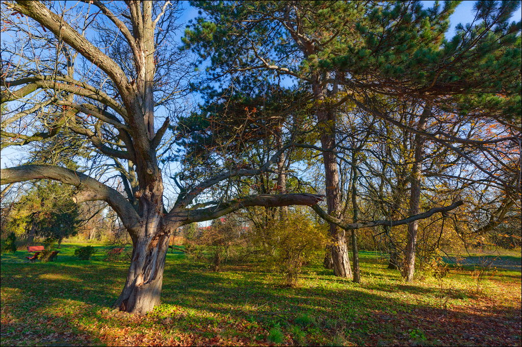 Taul Mindic Oliscani 2024 113