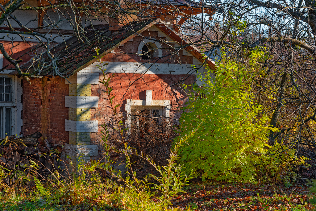 Taul Mindic Oliscani 2024 118