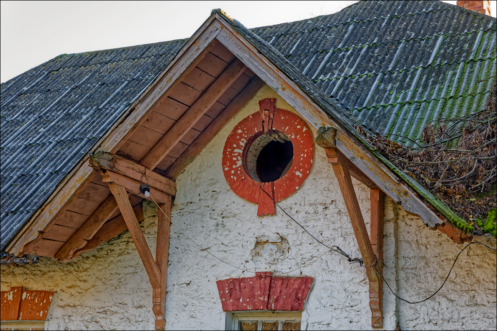 Taul Mindic Oliscani 2024 125