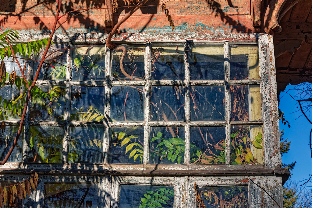 Taul Mindic Oliscani 2024 132