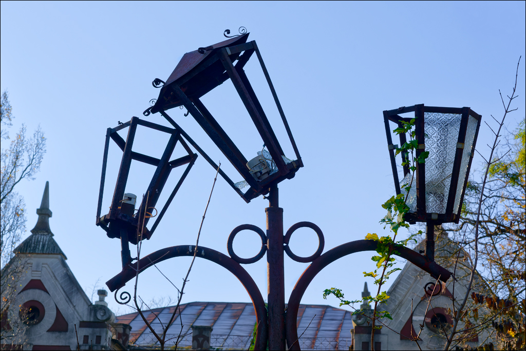 Taul Mindic Oliscani 2024 156