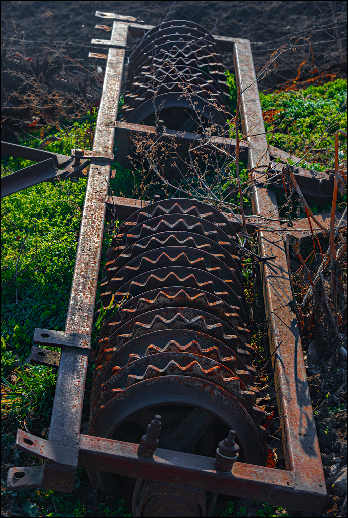 Capresti Cazanesti 10mar2024140