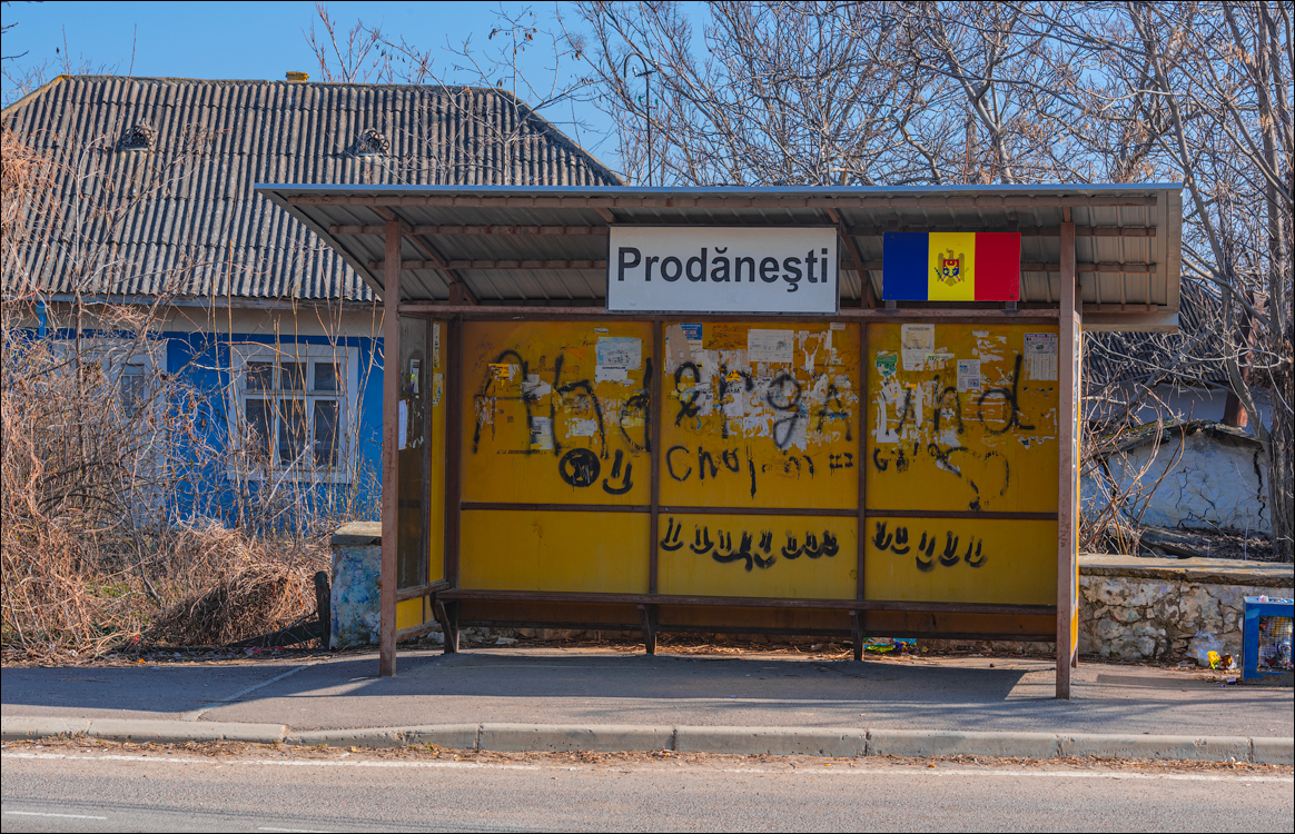 Capresti Cazanesti 10mar2024148