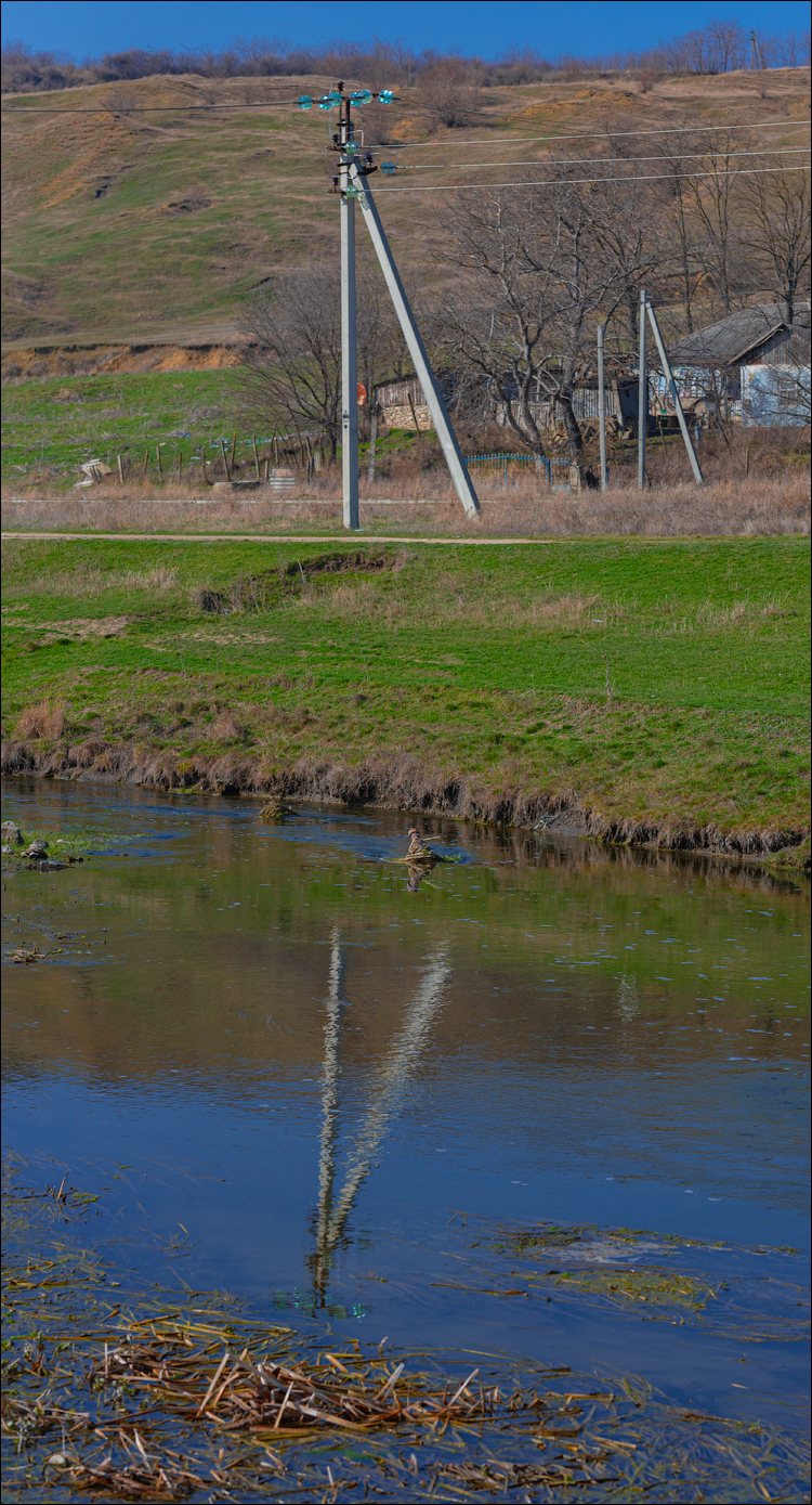 Capresti Cazanesti 10mar2024163