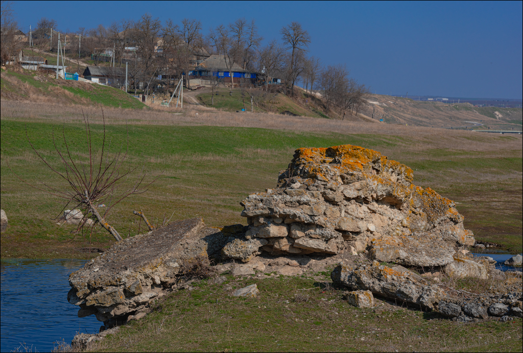 Capresti Cazanesti 10mar2024164