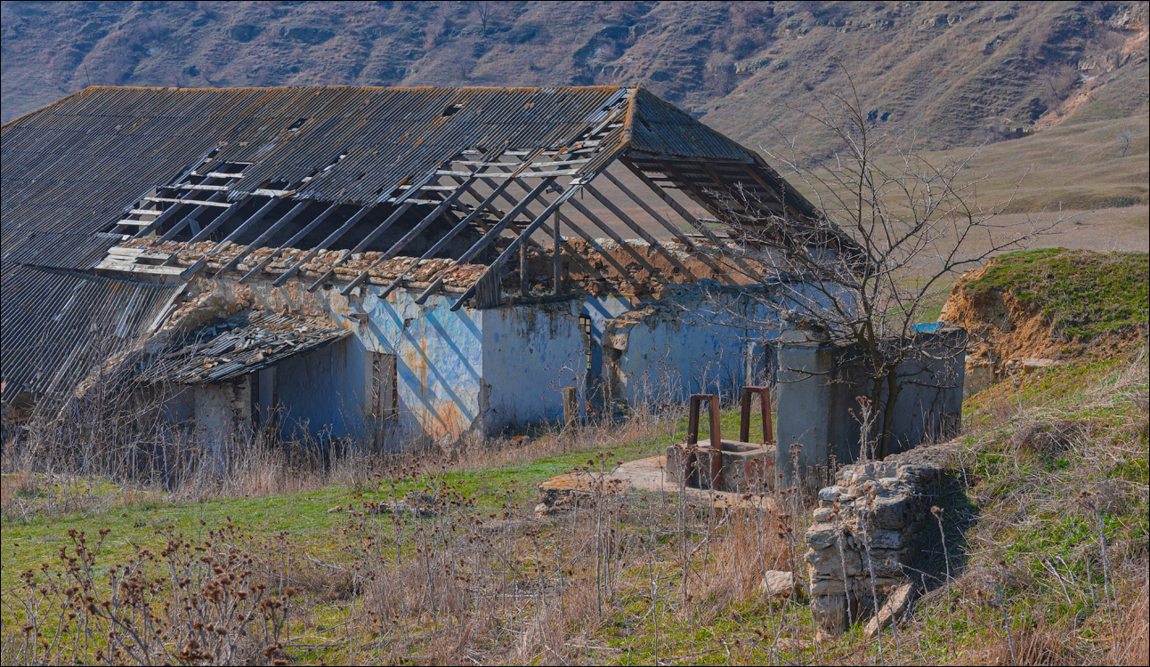 Capresti Cazanesti 10mar2024170