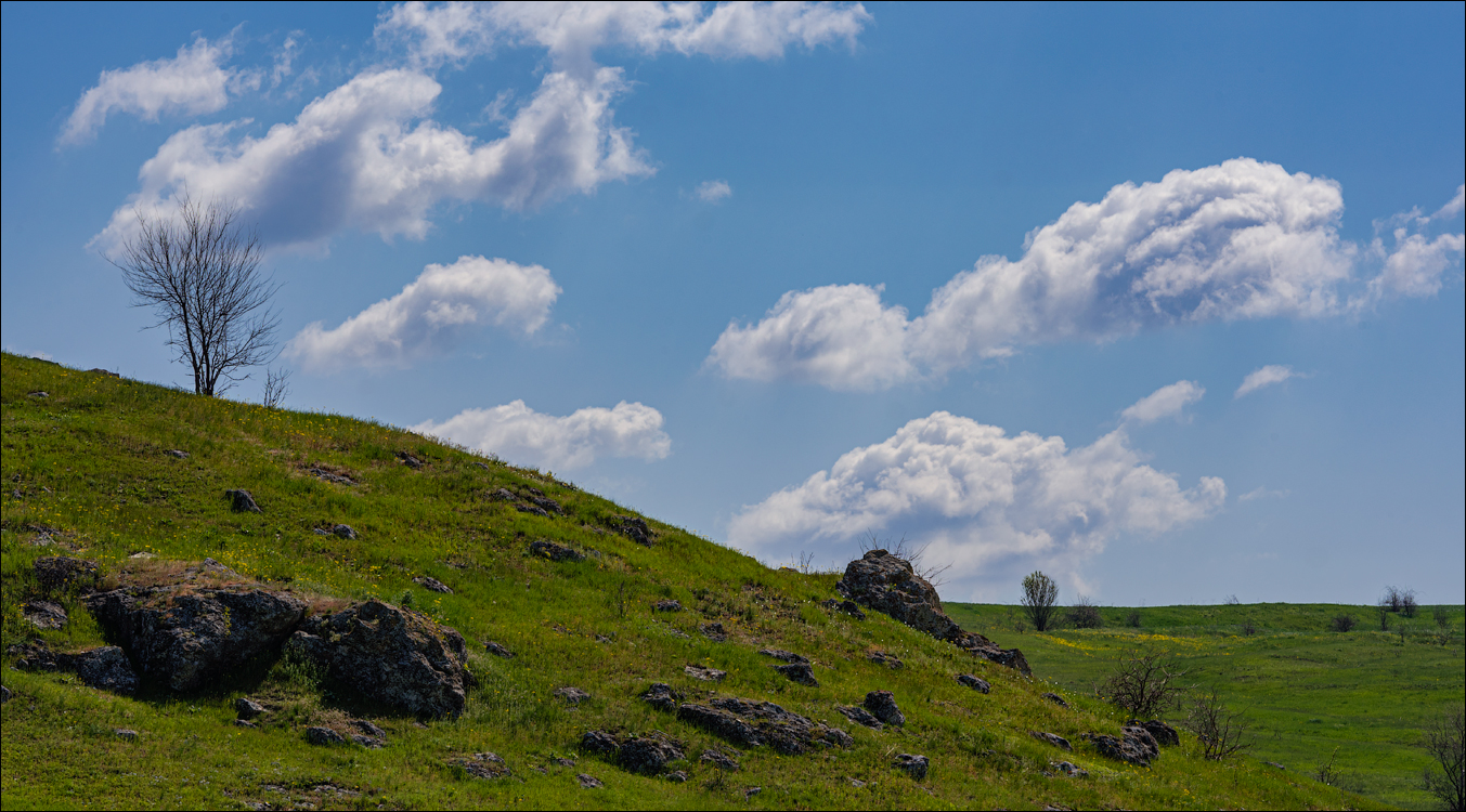 Ciuhur Horodiste Stolniceni 2021059 10 107