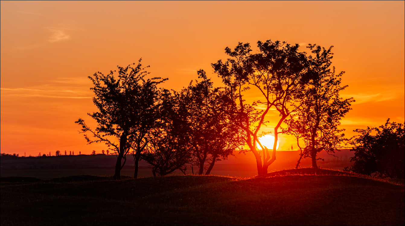 Ciuhur Horodiste Stolniceni 2021059 10 164