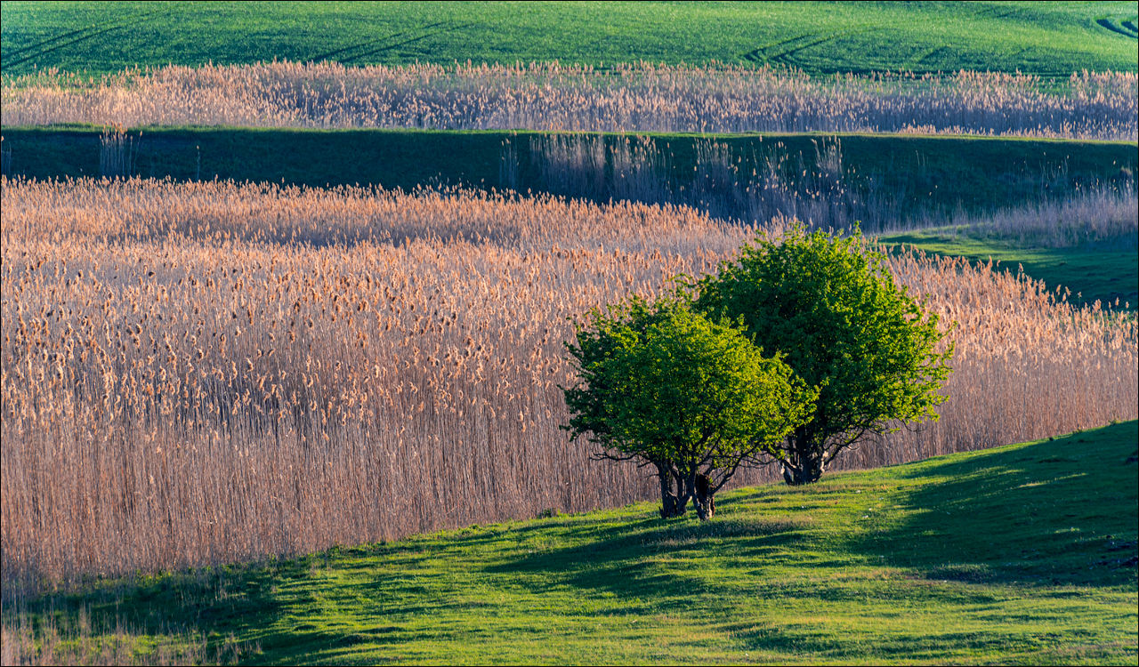 Ciuhur Horodiste Stolniceni 2021059 10 170