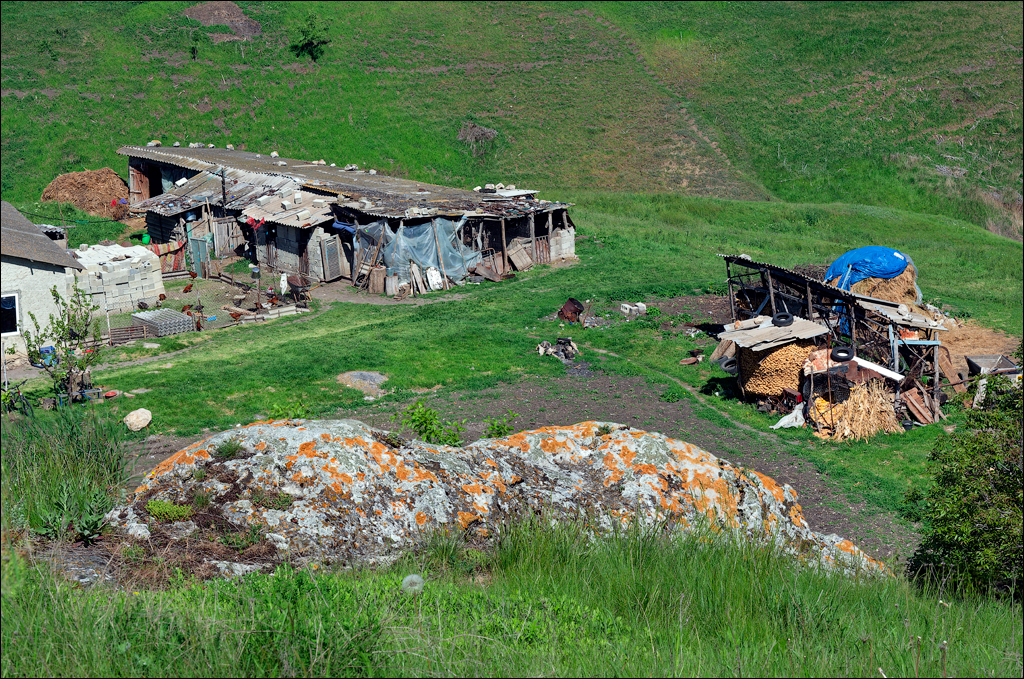 Corjeuti Gordinesti 4 6May2024 300