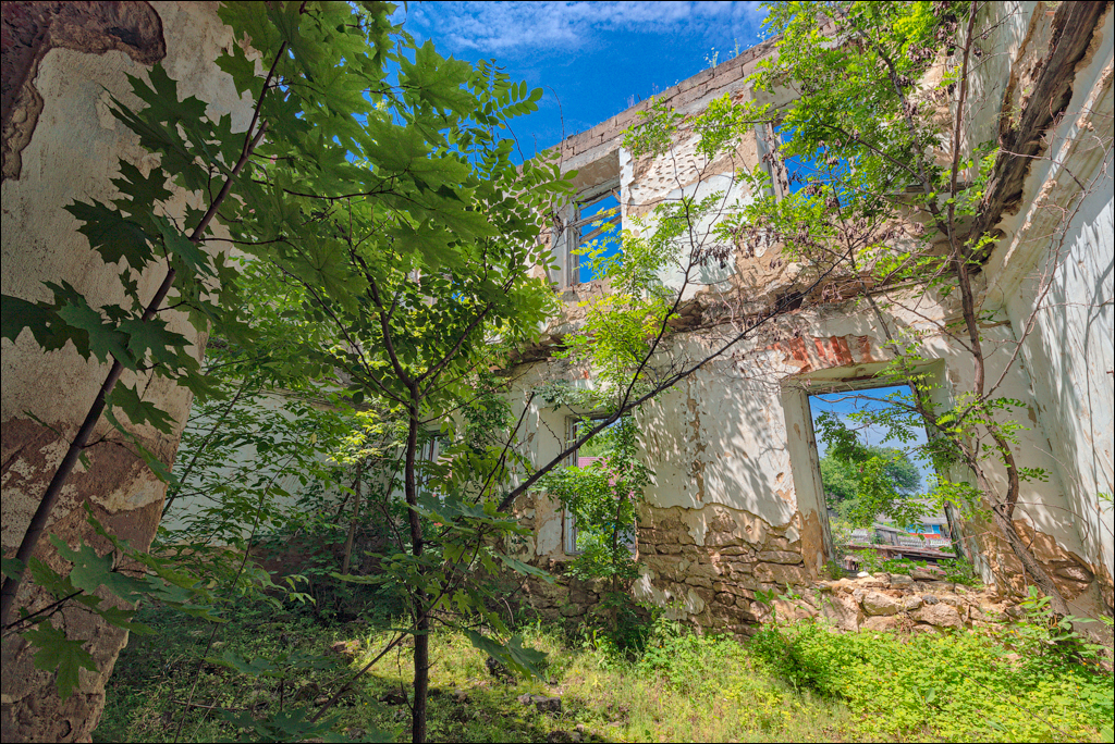 Cuhuresti Cobilea Dobrusa 26 27jun2021 171