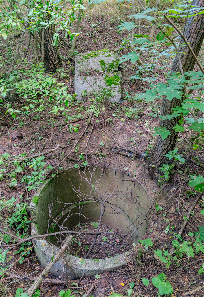 Cuhuresti Cobilea Dobrusa 26 27jun2021 220