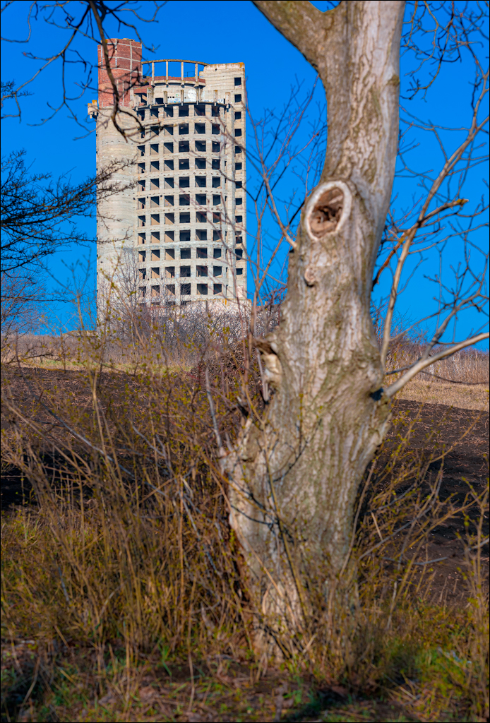 Danceni GrapeInst 24mar2024 100