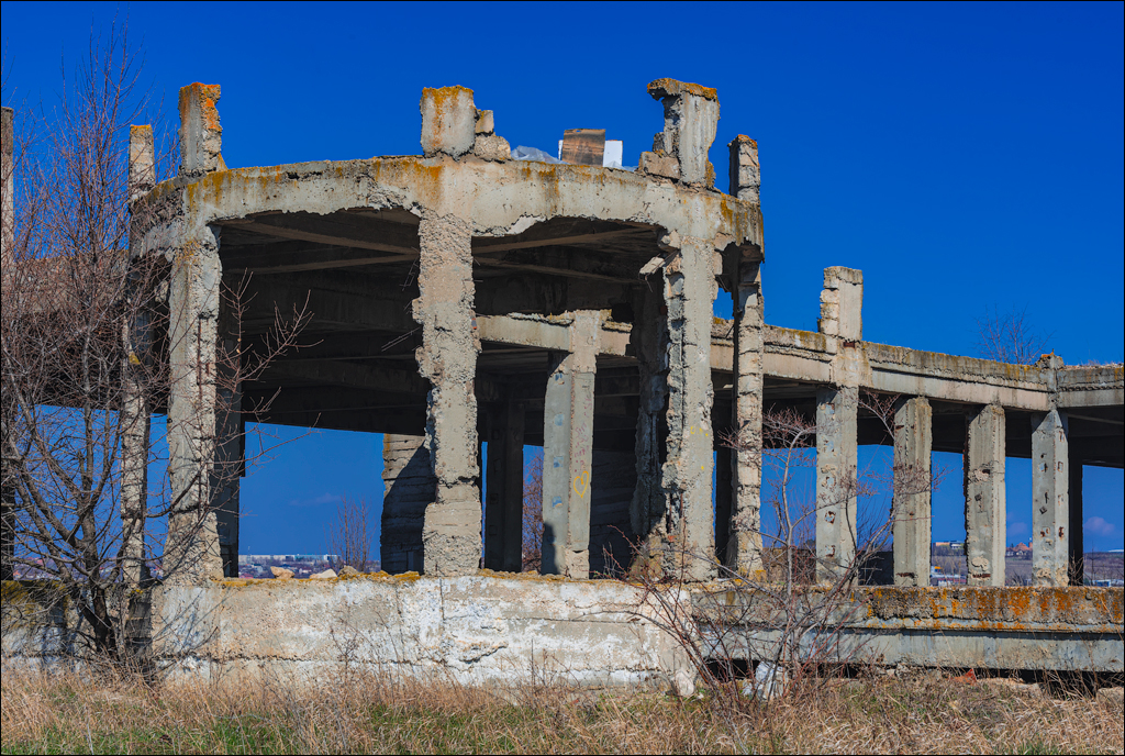 Danceni GrapeInst 24mar2024 112