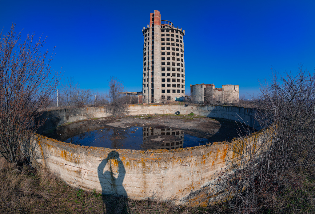 Дэнчень - Институт Виноградарства '2024