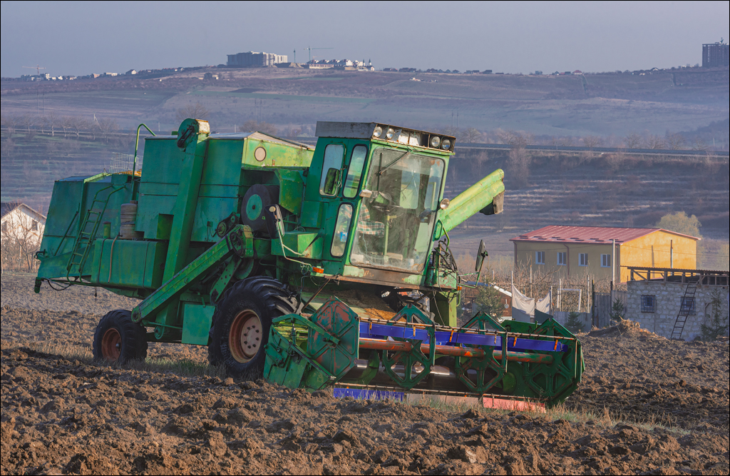 Danceni GrapeInst 24mar2024 132