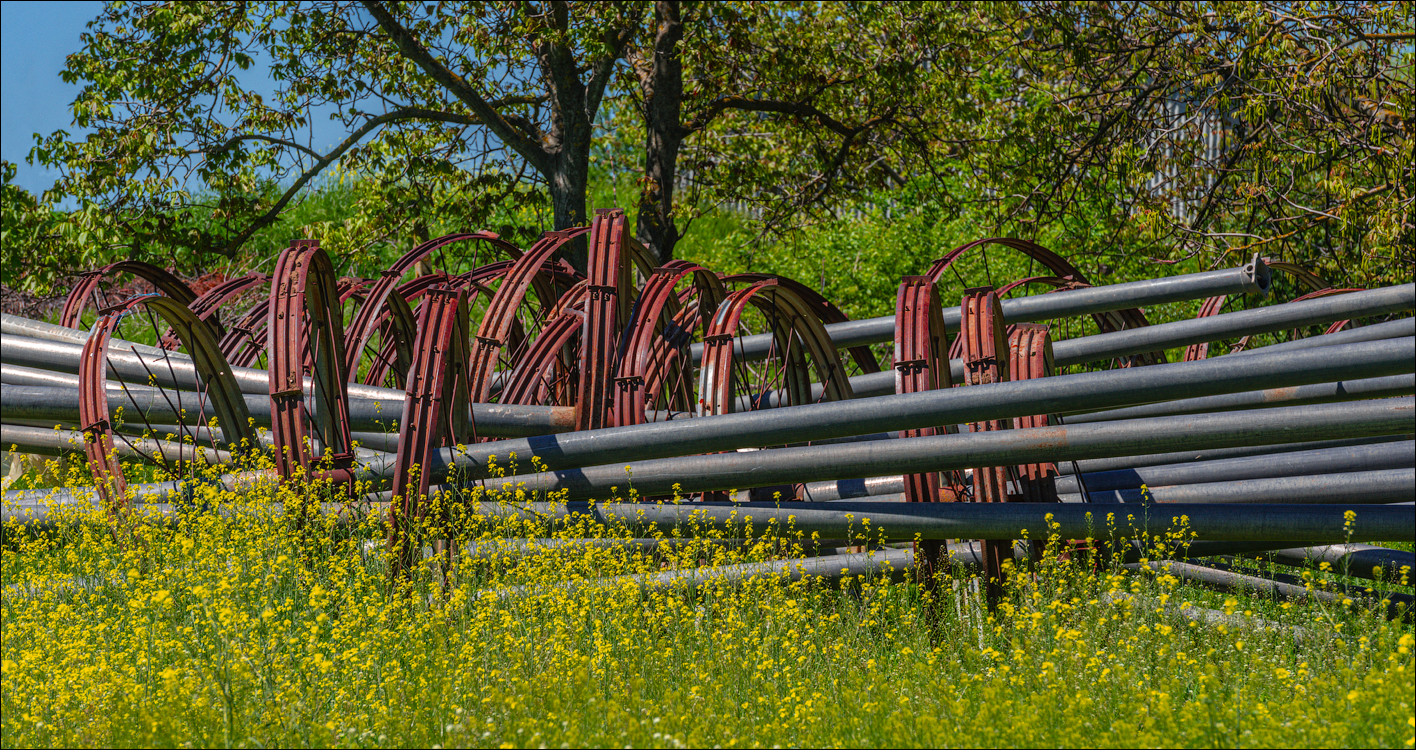 GuraBicului Dragalina 20210515 153