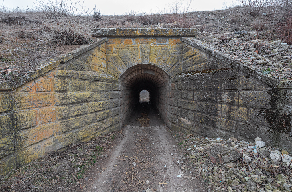 GuraCamencii Floresti 22022020 12