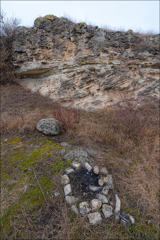 GuraCamencii Floresti 22022020 20