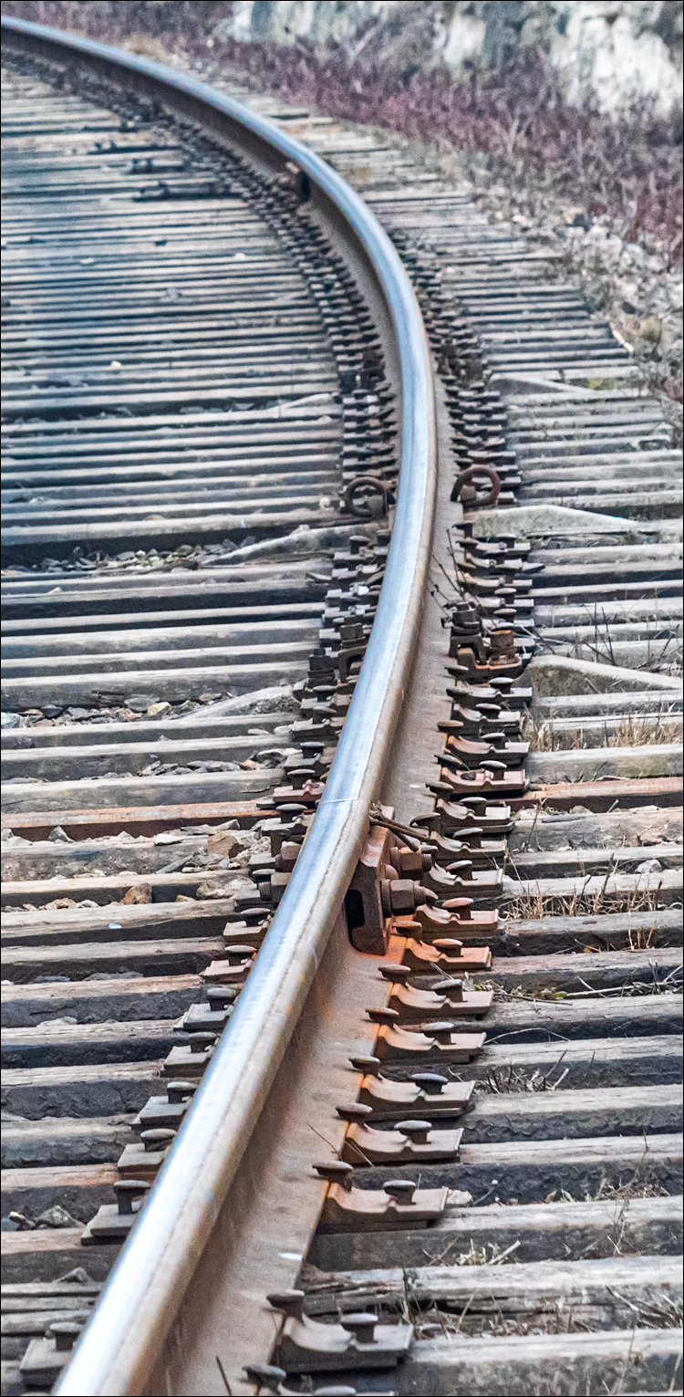 GuraCamencii Floresti 22022020 24