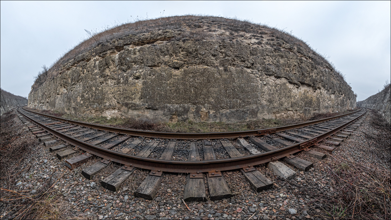 GuraCamencii Floresti 22022020 25