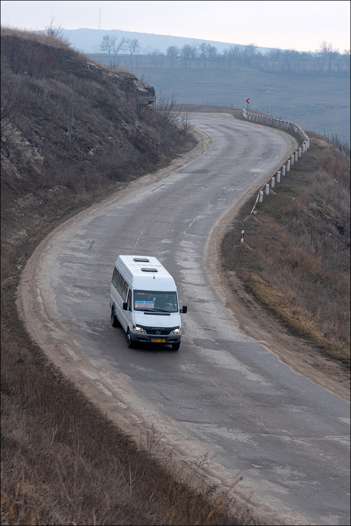 GuraCamencii Floresti 22022020 31