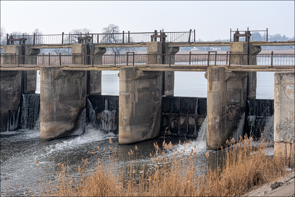 GuraCamencii Floresti 22022020 52