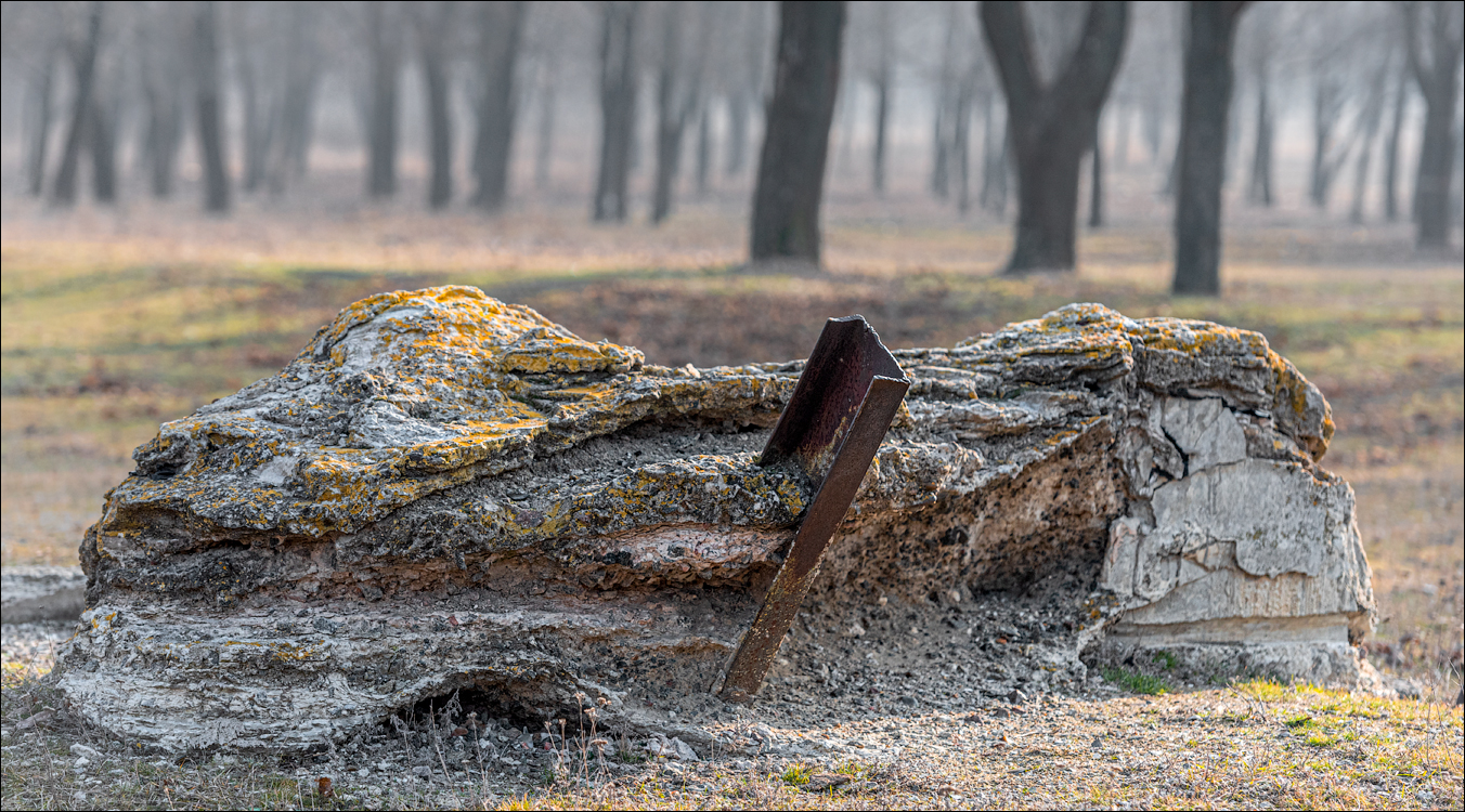 GuraCamencii Floresti 23022020 65