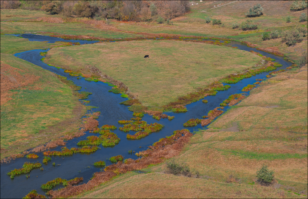 Rogojeni Domulgeni 28oct2023 116