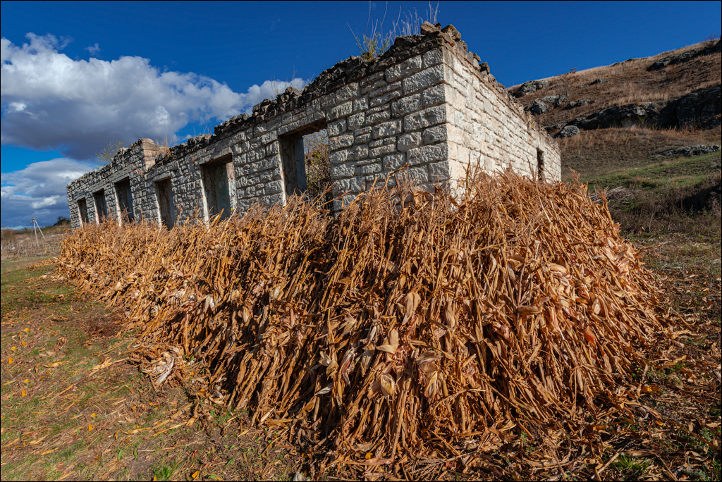 Rogojeni Domulgeni 28oct2023 140