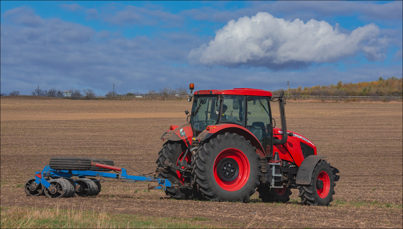 Rogojeni Domulgeni 28oct2023 148