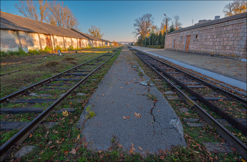 Rogojeni Tira Ghindesti 28122019 124