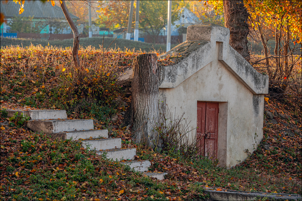 Rogojeni Tira Ghindesti 28122019 125