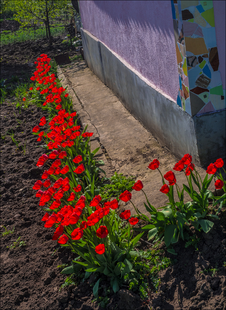 Soldanesti apr2018 01520180422