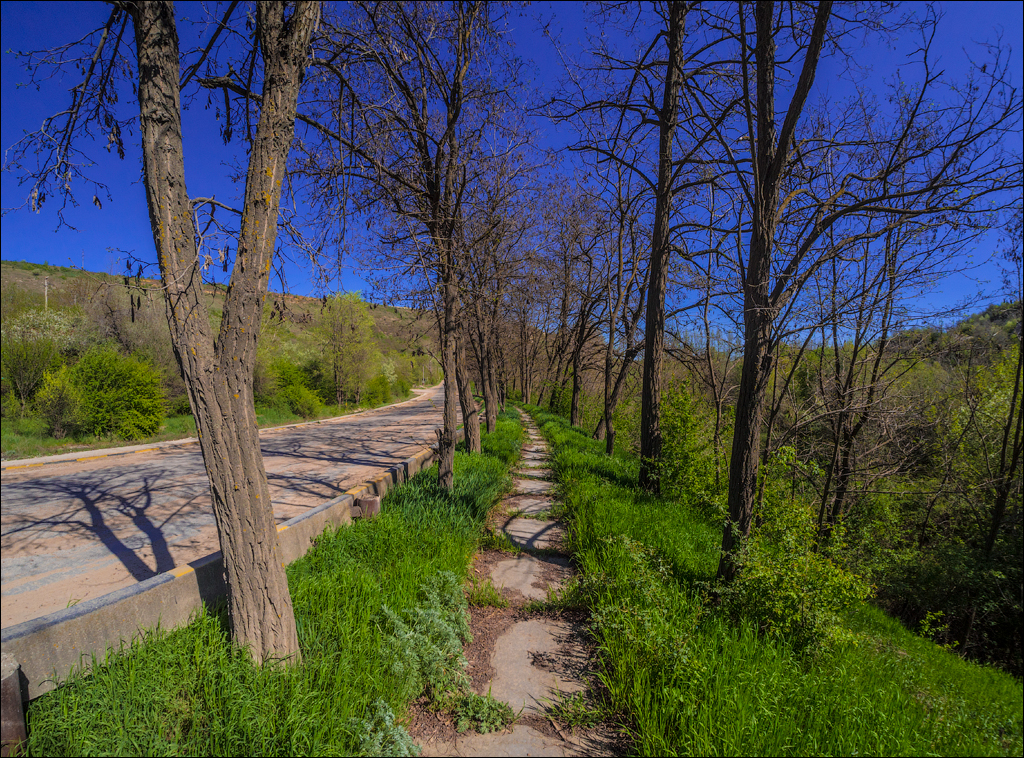 Soldanesti apr2018 05220180422