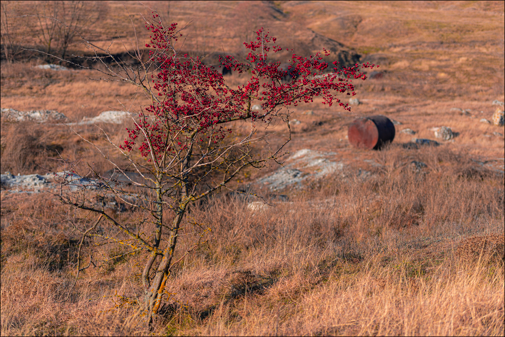 Trinca Gordinesti 29 30oct2021 114