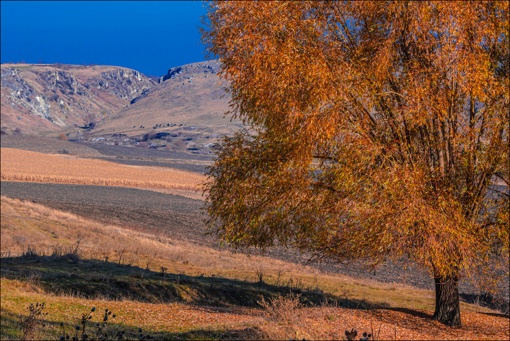 Trinca Gordinesti 29 30oct2021 123
