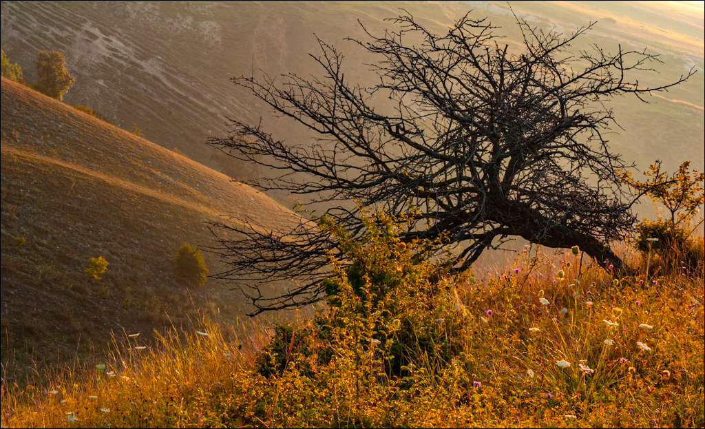 Burlanesti 20052006 156