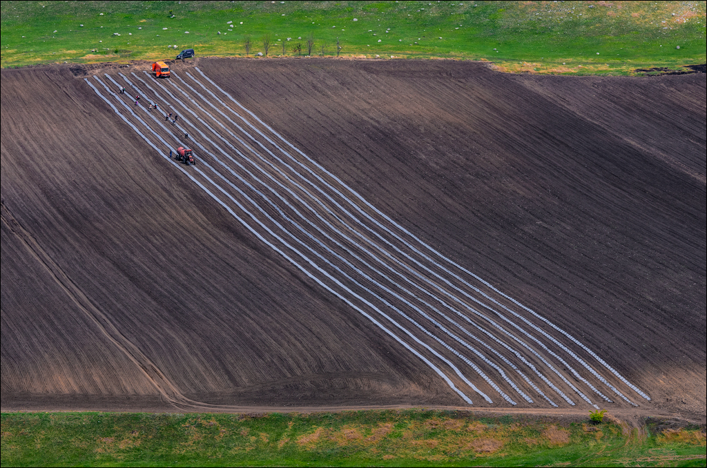 Caracuseni Corjeuti Fetesti Gordinesti 20190427116